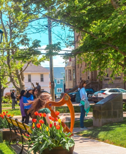 Cruisin' Around Town: Half & Full Day Charlottetown Itineraries 4